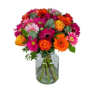 Gerbera mix Castricum