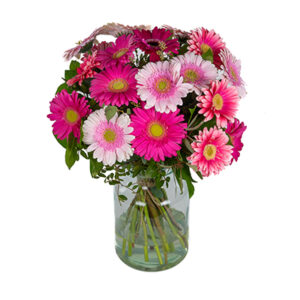 Gerbera mix Limmen