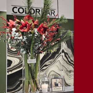 Amaryllis Boeket Hizi Heiloo